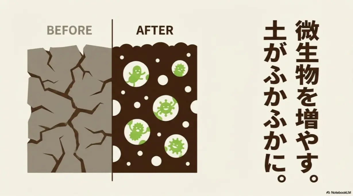 微生物を増やして土をふかふかにする効果のBEFORE・AFTER