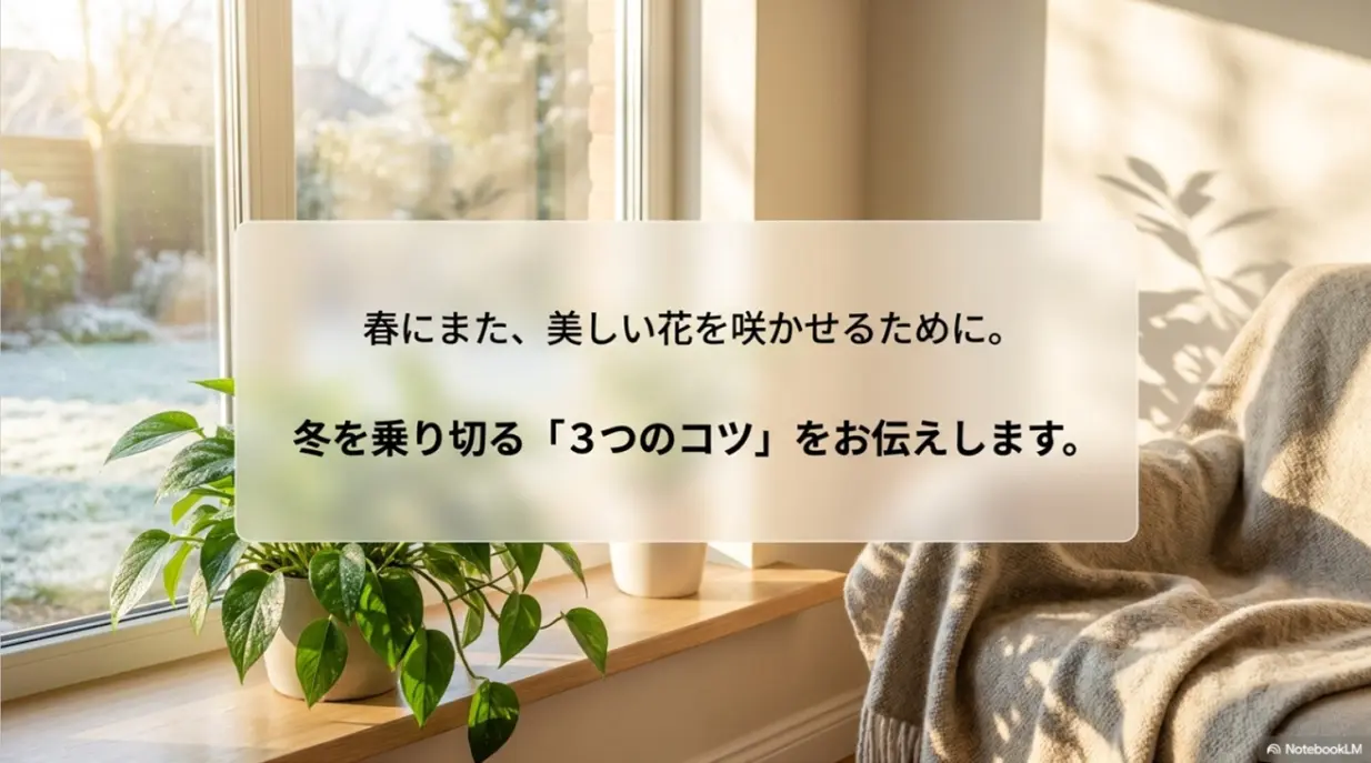春に美しい花を咲かせるための冬を乗り切る3つのコツ