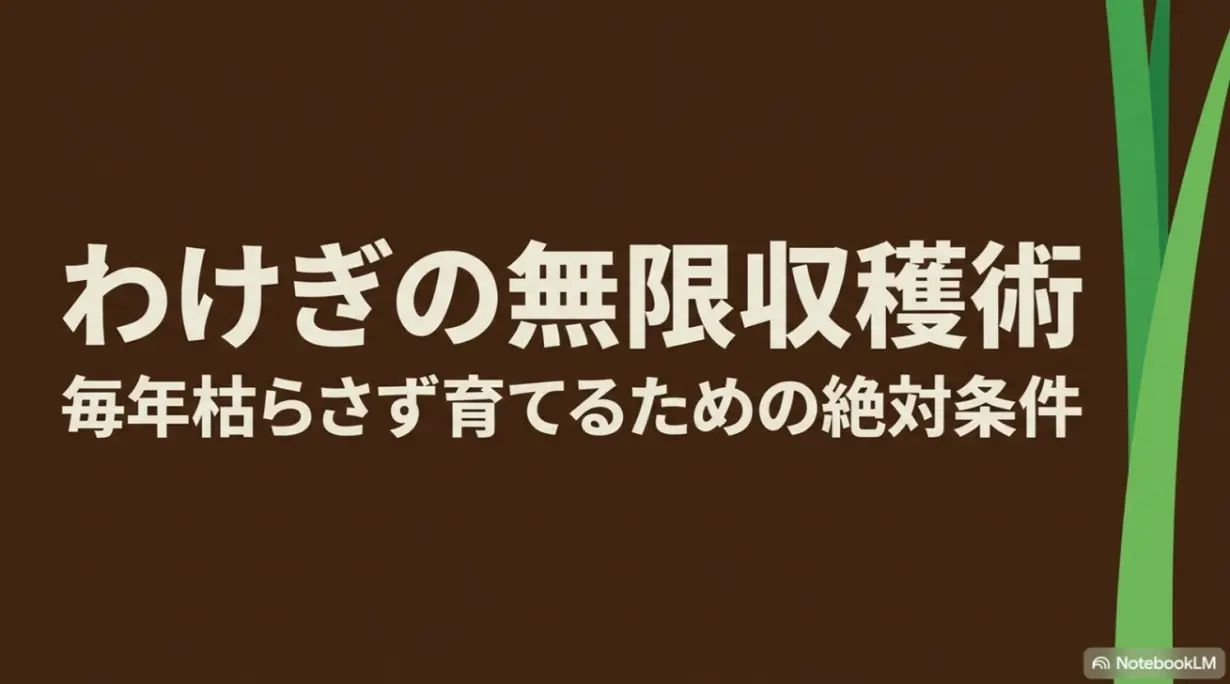 わけぎの無限収穫術！毎年枯らさず育てるための絶対条件