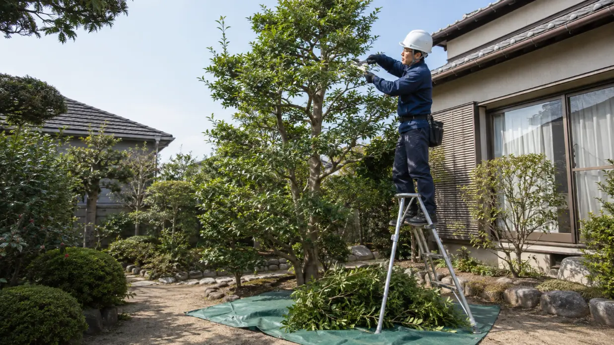 日本の住宅で3m前後の庭木を剪定する専門作業員