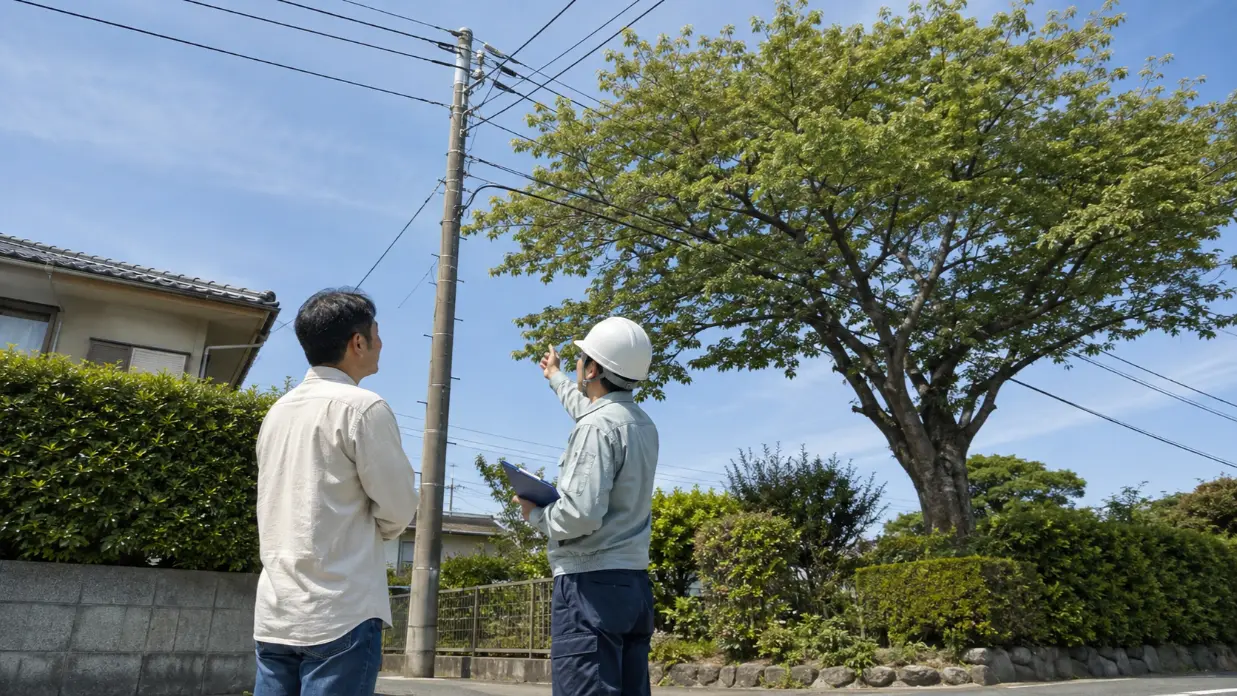 電線付近まで伸びた庭木を設備管理者と確認する住宅所有者