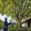 住宅より高く育った庭木を確認し伐採費用を見積もる専門業者