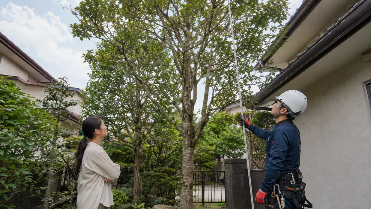 庭木の高さや幹の太さを確認して伐採費用を見積もる専門業者